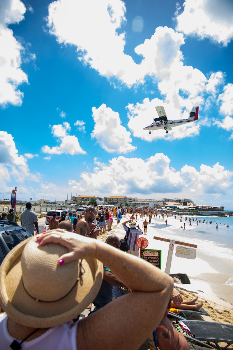 people on beach during daytime