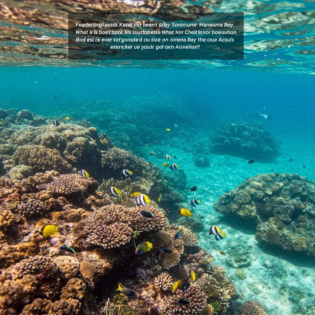 Domande frequenti sullo snorkeling a Hanauma